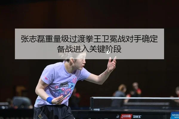 张志磊重量级过渡拳王卫冕战对手确定 备战进入关键阶段